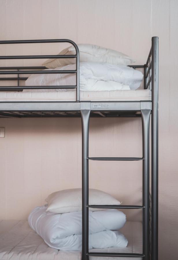 Northeast Guesthouse Bakkafjorthur Екстериор снимка